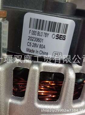 供应索恩格SEG F000BL07BY交流发电机24V 80A