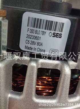 供应索恩格SEG F000BL07BY交流发电机24V 80A