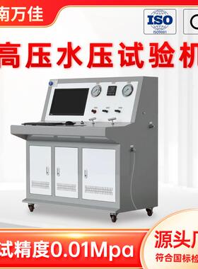 0-300mpa高压油管铜管水压耐压强度试验机 油管静水压压力试验机