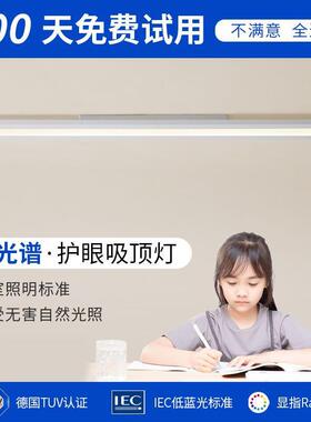 直销新款Niuy牛源科技全光谱简约吸顶灯长条过道灯高显值护眼极简