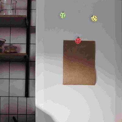 10 Pcs Magnet Buckle Ladybird Locker Magnets Refrigerator