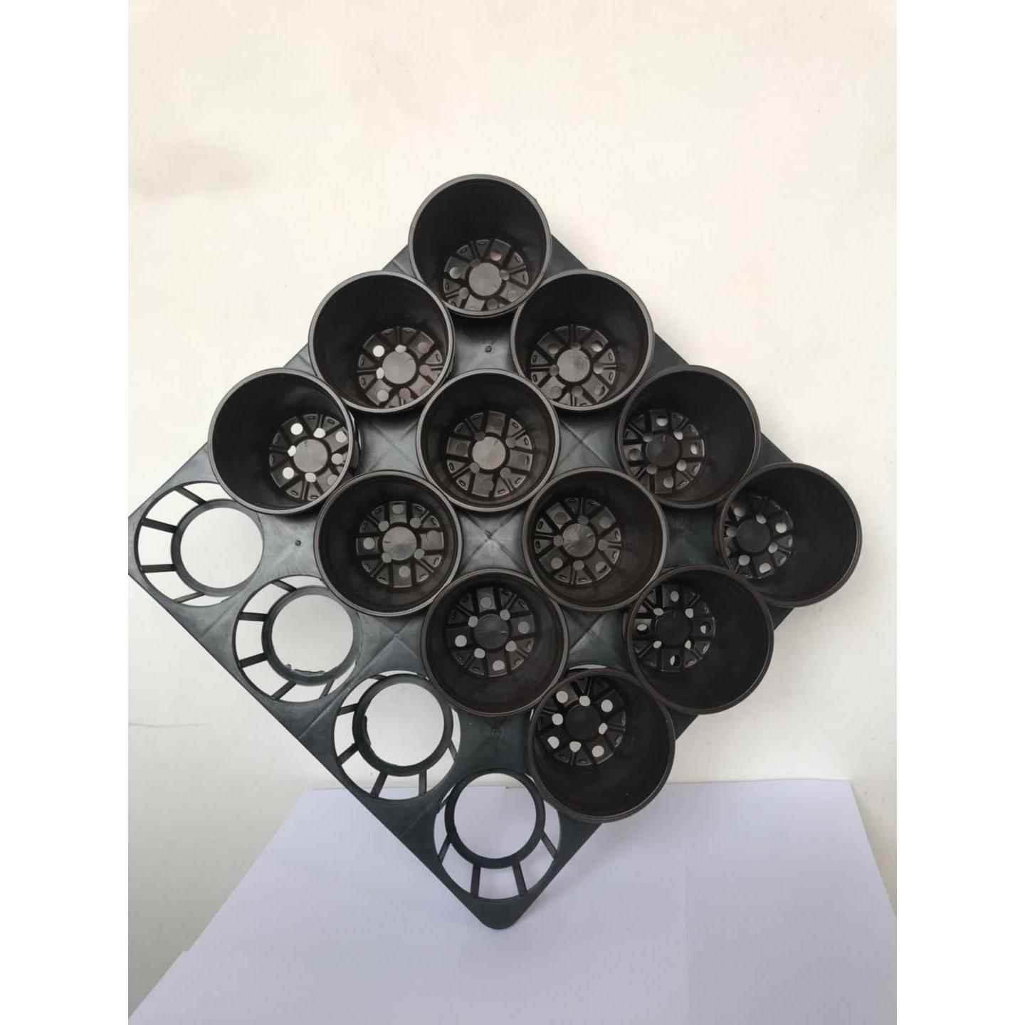 厂家供应塑料花盆托盘 蝴蝶兰托盘 花盆组合系列苗圃专用带托盘
