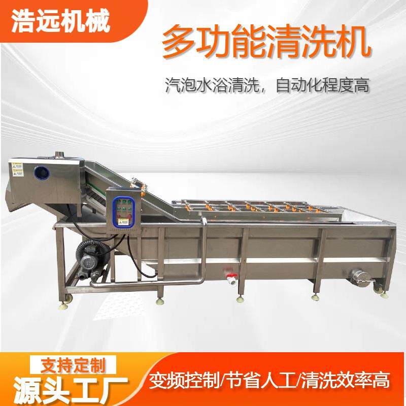 多功能黑水虻清洗机面包虫清洗烘干机虫子清洗深加工成套设备