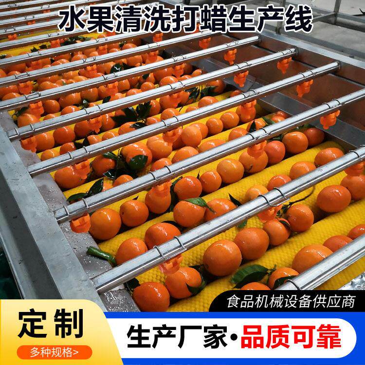 全自动柠檬清洗打蜡机 无花果清洗分级机水果清洗选果机设备