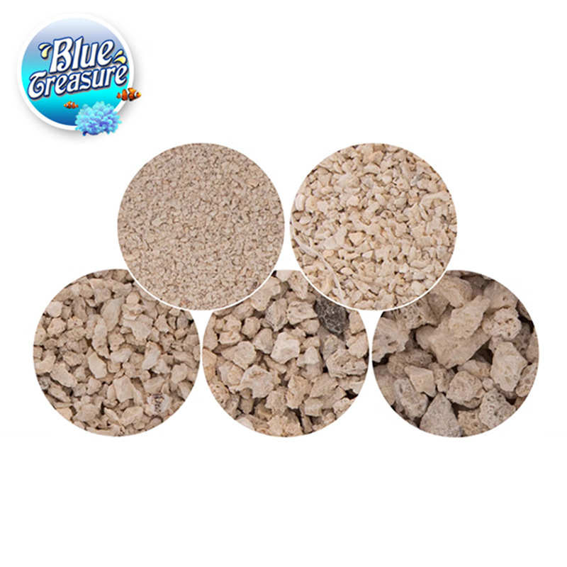 蓝色珍品海砂 海缸造景 海沙1 2 3 4 5号菲律宾沙 珊瑚砂 海砂