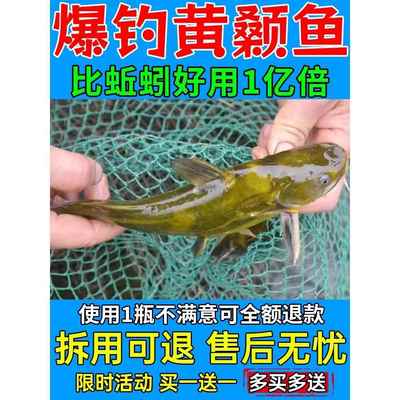 黄辣丁专用饵料野河垂钓爆护鱼食主攻黄颡昂公可搓可拉腥香打窝料