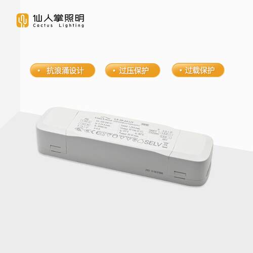 仙人掌照明灯带变压器30W 75W 150W伊戈尔驱动LED灯具电源配接器