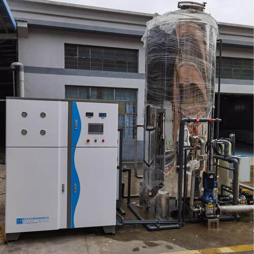 防爆型去离子水设备 一体化全自动监测DI去离子水机1-10t/h