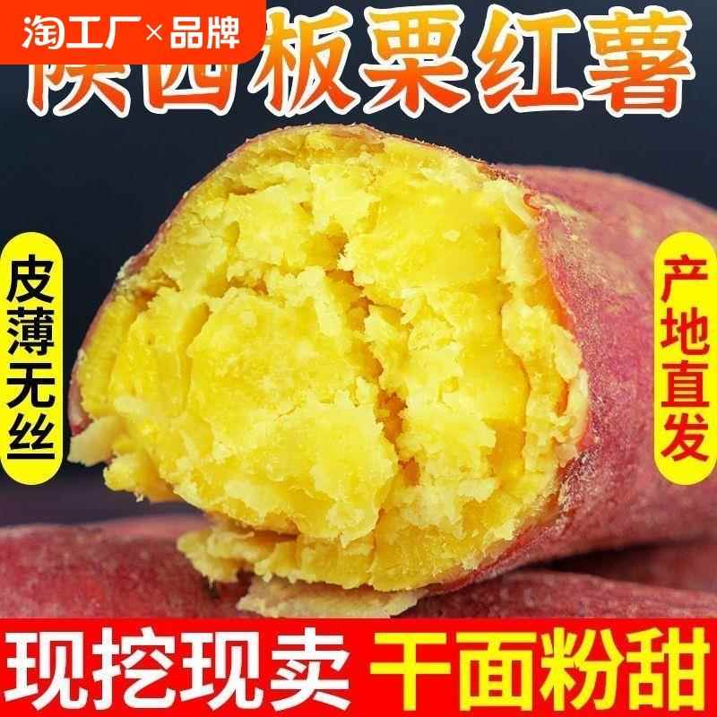 陕西板栗红薯粉面沙地蜜薯农家自种新鲜番薯小香薯甜地瓜黄金软糯
