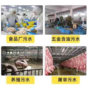 理豆腐废水处 屠污水处理设备 宰理溶气气YW浮机污水处设备