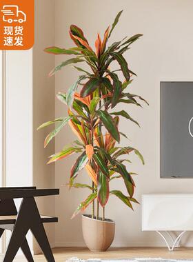 大型仿真植物假树轻奢仿生绿植盆栽仿真花铁树室内客厅落地装饰