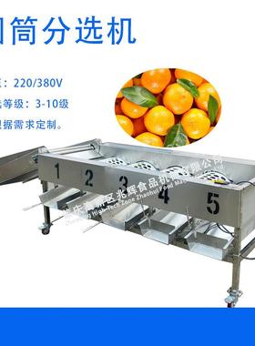 果园动化分拣设备 滚自筒沃式青梅柑分分选机 商用WVB大型小青柑