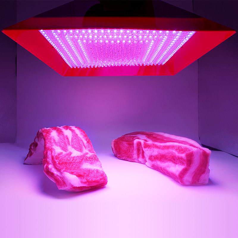 非新国标蓝牙LED生鲜灯猪肉牛羊海鲜卤菜水果冷鲜肉专用灯超亮超