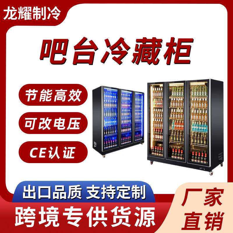 商用冰柜保鲜冷藏柜立式酒吧展示冰箱外贸便利店三门饮料啤酒柜