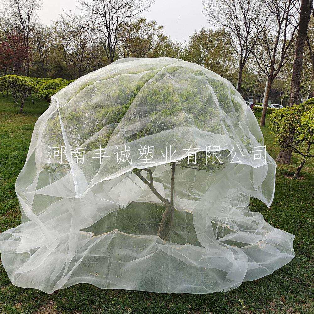 2.5*2.5*2.5米防虫网罩/杨梅樱桃树网罩/防虫网大棚网