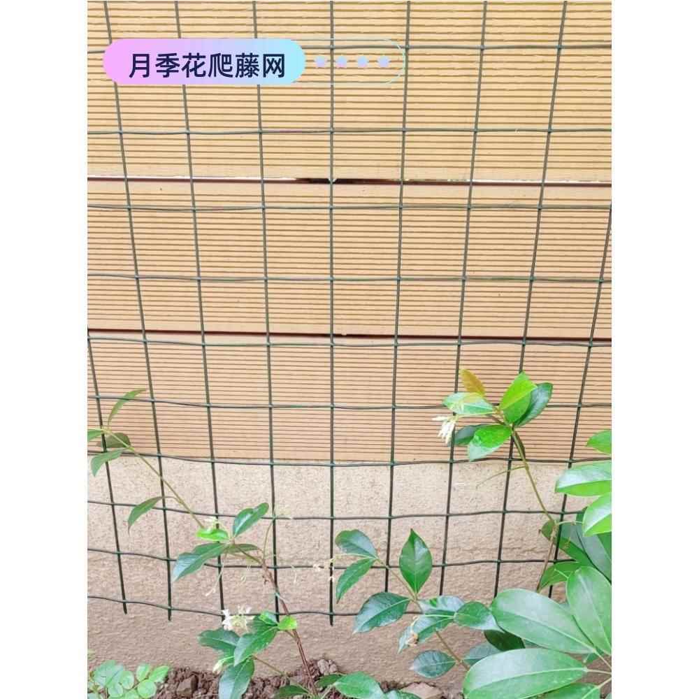 月季爬藤DIY花墙铁丝网 种植爬藤网 户外庭院蔷薇爬架网 防锈防晒