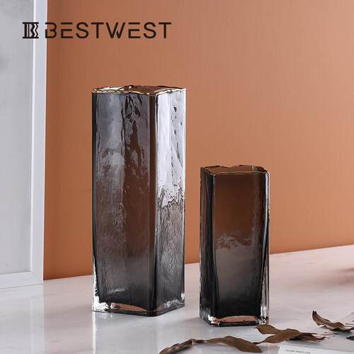 Best west 北欧直筒方口轻奢水培透明玻璃花瓶 家居高档软装饰品