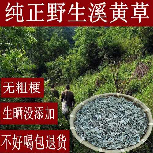 新疆包邮今年新货溪黄草广东肇庆产地发货食用农产品开 水冲泡茶