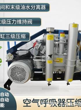 100-300L/min空气呼吸器充气泵 空气压缩机可选配自动启停