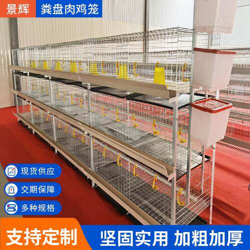 粪盘肉鸡笼含托粪盘塑料网育肥鸡用养殖设备H型笼具机械蛋鸡