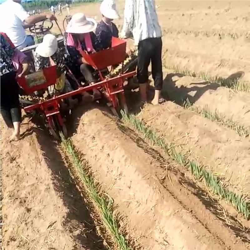 辣椒苗蒜苗苗农作物ST-4秧苗种红植机 葱葱栽种机 辣椒苗苗种葱植