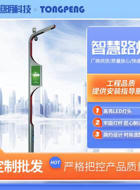 智慧路灯厂家道路照明一体化信息屏多功能智慧路灯5G智慧路灯