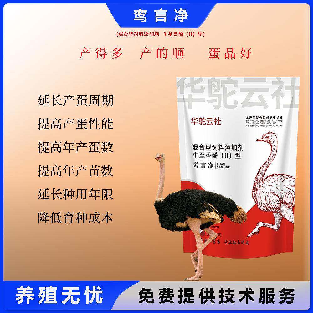 鸾言净鸵鸟养殖问题无黄蛋软壳蛋狗特色保健品