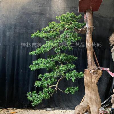 室内大外装饰树001造景观树实木仿真树门庭景设玄关公造计园型仿