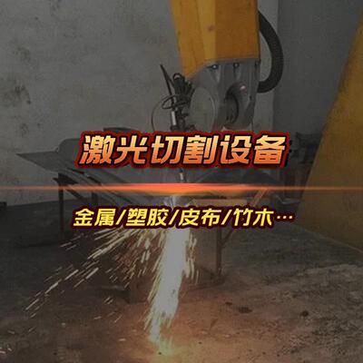 宠物织带激光打孔机 汽车安全带激光切割机 绦纶缎带切割机设备