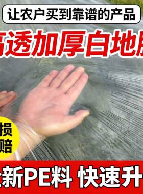 农用白色地膜种菜专用种植保温加厚小拱棚塑料薄膜工程膜养护膜