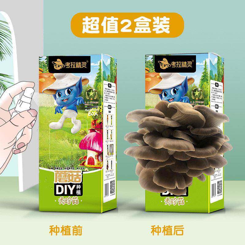 蘑菇种植DIY生长观察菌菇2盒装送小喷壶