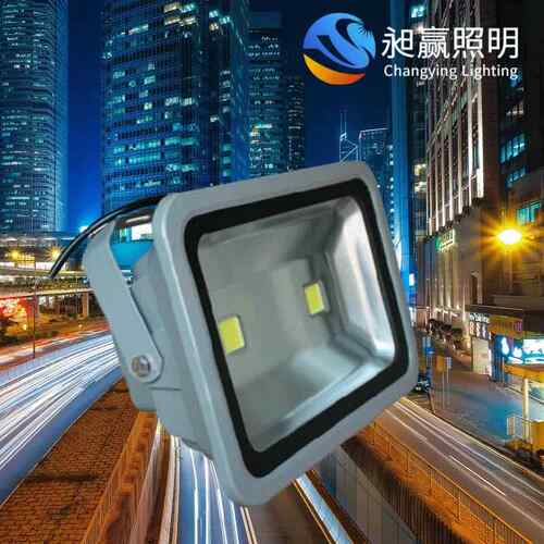投光灯渔船灯矿山隧道照明工厂房泛光灯100W户外灯防水低压36V