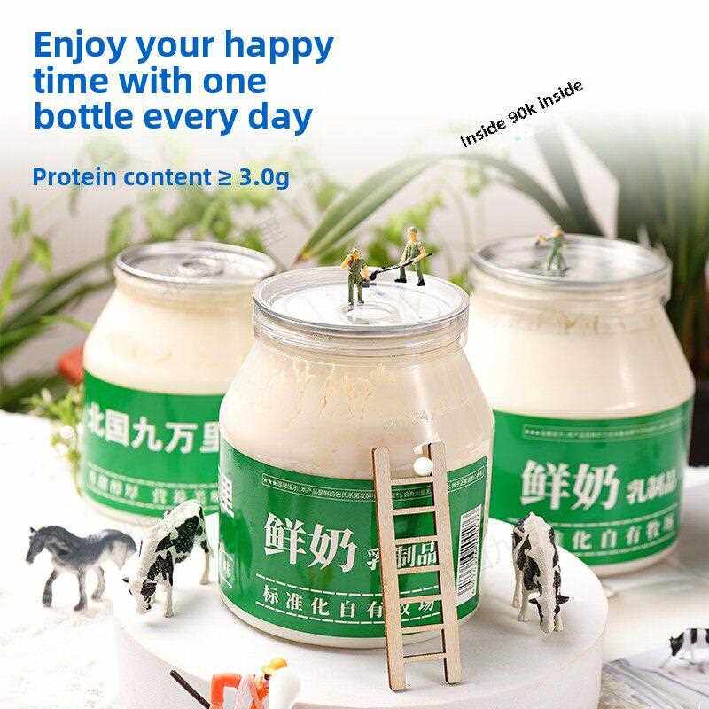 北国90k环经典乳皮老酸奶内蒙古牧场无添加剂低温发酵酸甜580g