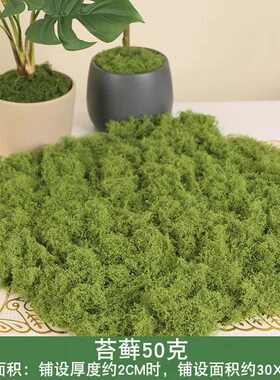 铺面假绿造影人造绿色微毛线石头青苔草坪苔藓植仿真景草皮装饰