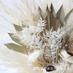 者虞美人蒲苇爱心花束ins北欧风森系自然干花束家居装饰品