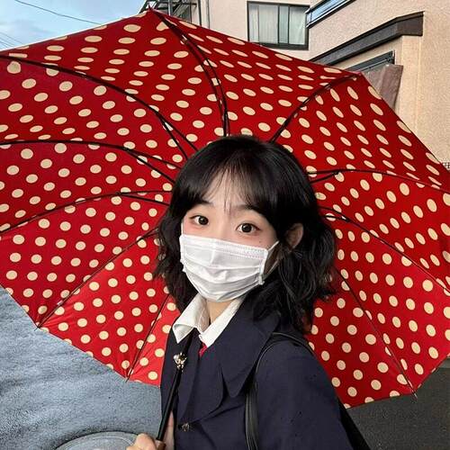 氛围港式长柄波点伞12骨加大抗风晴雨两用太阳伞自动加固结实双人
