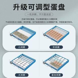 机器 孵化器小全自用动鹅鸡鸭QXW鸽子鸟蛋型家款