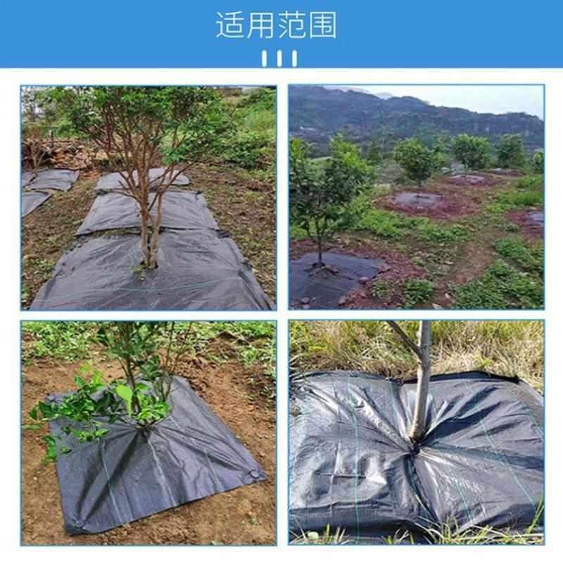 锋上除草布100张园艺地布防草布渗水保湿黑色地膜大棚农用防草布