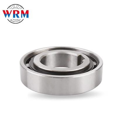WRM滚柱式单向离合器AS6 AS8 AS10 AS12 AS15 AS20 AS25 AS30