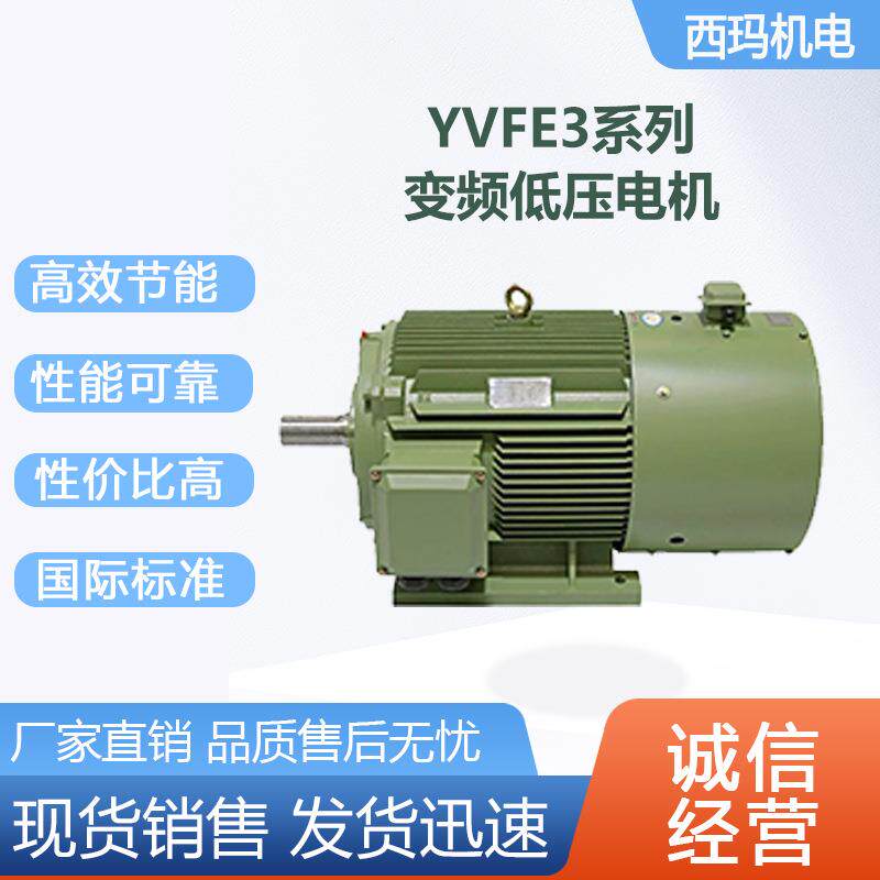 西安泰富电机YV3-200L-4极30W低压变频交流三相异步电动机