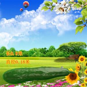 玻璃钢户外水果蔬菜雕塑黄瓜芒果摆件园林景观农庄花园装饰品