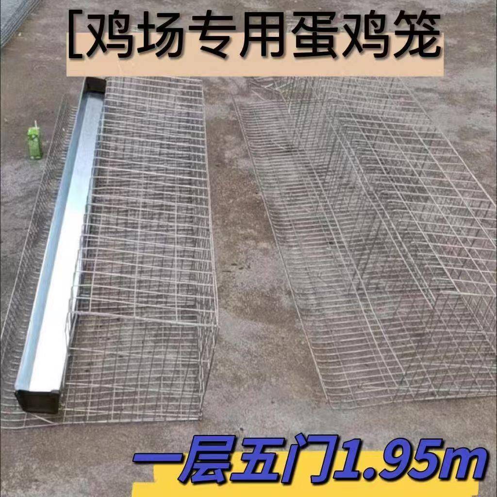 鸡笼家用下蛋鸡笼养殖场用自动接蛋鸡笼母鸡笼子带蛋托