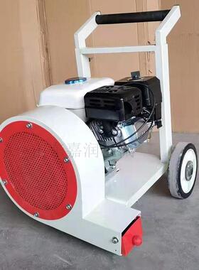 多功能推马路风机吹 汽油大手功率吹雪JQE机 公园落扫叶吹机