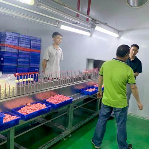 惠州全自动喷设备盲盒上喷塑IKM流水线 电动喷涂枪喷色漆自 动化