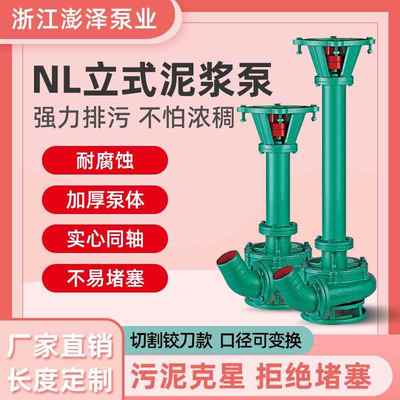 泥浆泵NL长杆立式大流量液下鱼塘泥沙泵河道清淤排泥NL泥浆泵