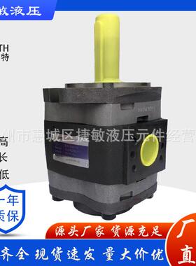 福伊特IPVP5-40101IPVP5-50101IPVP5-64101齿轮泵油泵