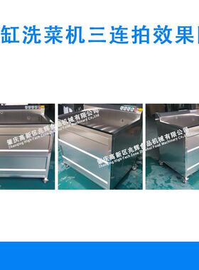 STR气泡洗机菜机自动蔬菜清洗机净菜菜加洗工清洗清流水线洗设备