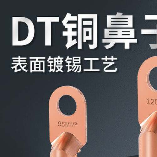 DT铜鼻子接线端子电线铜线鼻镀锡堵油铜接头25/50/70/95平方线耳