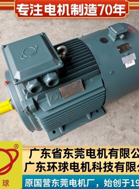 广东东莞牌电机Y2VF250M-2-55W变频调速三相电动机B35立卧式