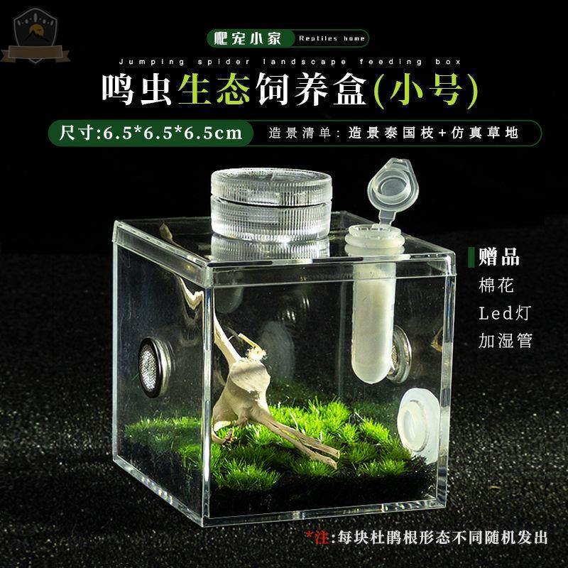 蝈蝈笼子小蜘蛛跳蛛盒兰花螳螂观察盒黄蛉扎嘴鸣虫饲养盒观赏盒透